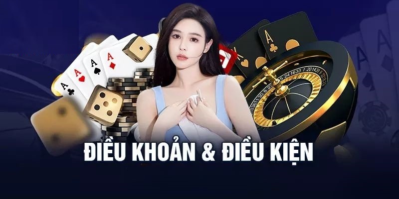 Người chơi cung cấp thông tin theo đúng điều kiện và điều khoản