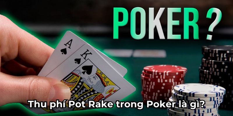 Thu phí Pot Rake trong Poker là gì?