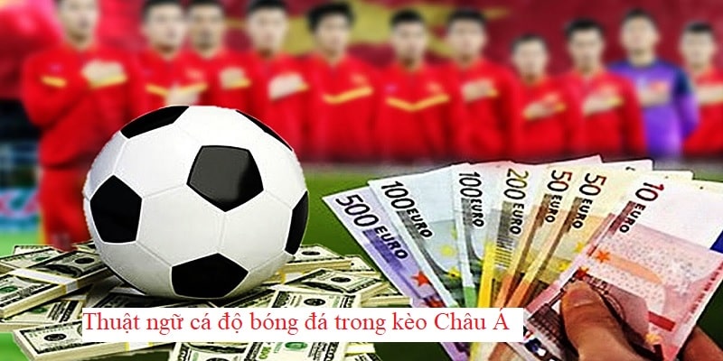 Thuật ngữ cá độ bóng đá ở kèo Châu Á