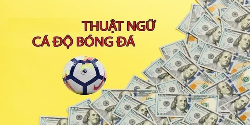 Thuật ngữ cá độ bóng đá KUBET là gì?